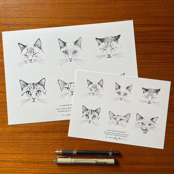 Print A5 Language de Lalauri - Imagen 3