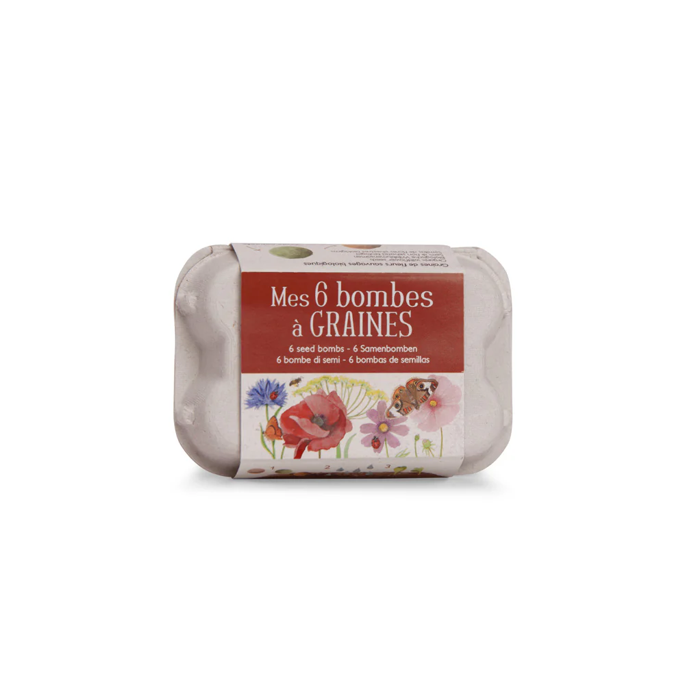 Caja de 6 Bombas de Semillas de Flores Le Jardin du Moulin de Moulin Roty