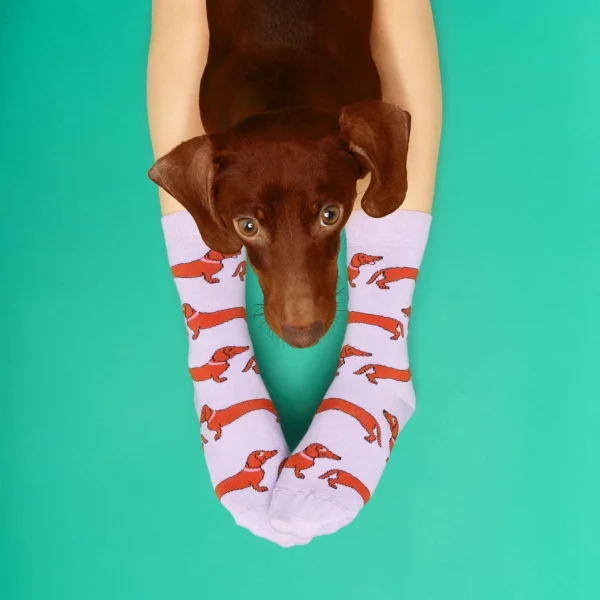Calcetines de Algodón Teckel de Coucou Suzette - Imagen 6