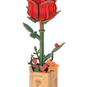 Maqueta rosa roja