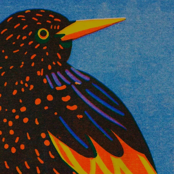 Print A5 Estornino de Naomi Wilkinson Illustration - Imagen 2