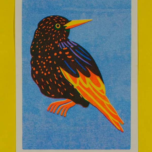 Print A5 Estornino de Naomi Wilkinson Illustration