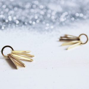 Pendientes Nova de Fauna y Flora