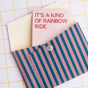 Alternative view of Tarjetero Rayas azul oscuro Ecke