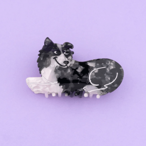 Pinza Border Collie de Coucou Suzette