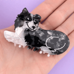 Alternative view of Pinza Border Collie de Coucou Suzette