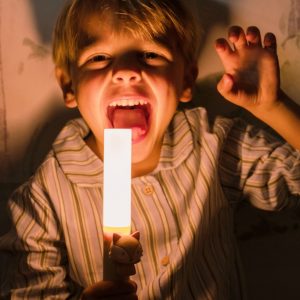 Alternative view of Lámpara linterna portátil Fox de The Zoofamily