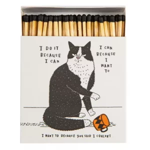 Cerillas I do it because I can de Archivist