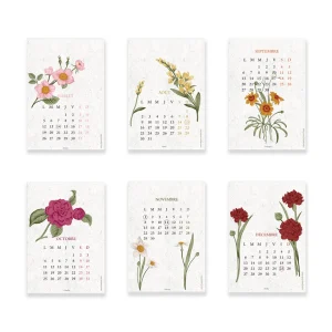 Alternative view of Calendario Plantable 2027 Biodiversidad de Papier Poetic - 2 tamaños-