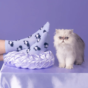 Calcetines Gato Black and White Coucou Suzette