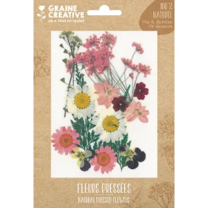Flores de la pradera Secas para Manualidades y Decoración 16 unid. de Graine Créative