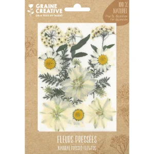 Flores de la pradera Blancas Secas para Manualidades y Decoración 15 unid. de Graine Créative